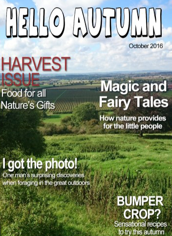 hello-autumn-cover-2