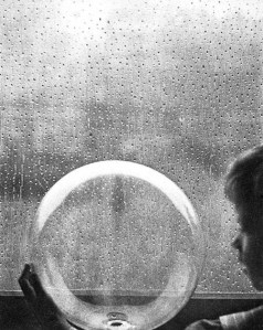 Clarence-white-rain-drops