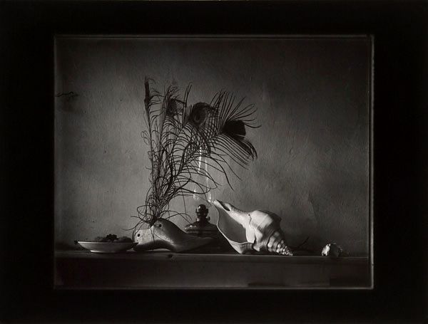 Josef-sudek-caravaggio