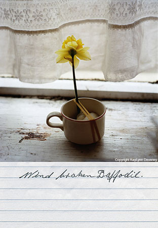 brokendaffodil