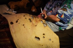 Spitz - mom's vacation